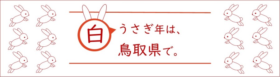 「白うさぎ年は鳥取県で」の画像