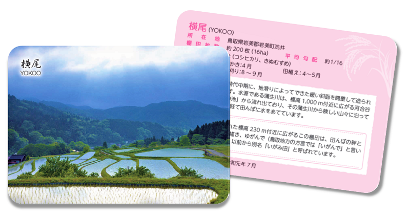棚田カードのイメージ画像