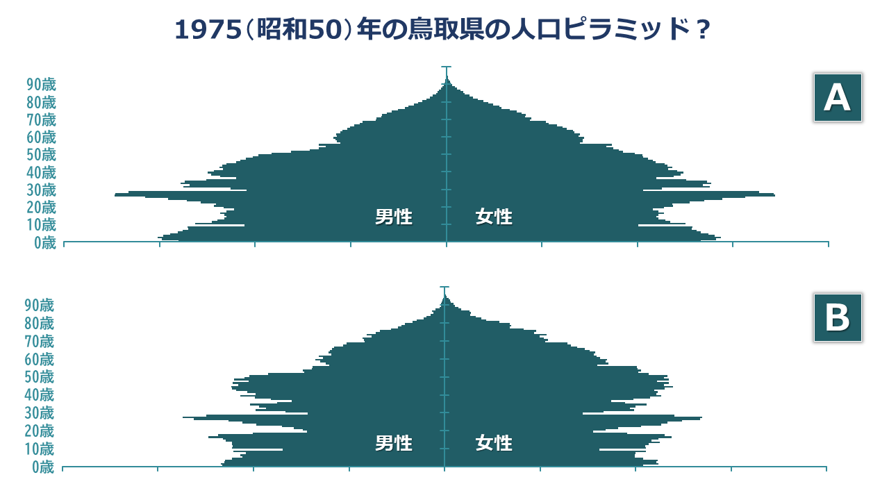 グラフ「1975（昭和50）年の鳥取県の人口ピラミッド？」