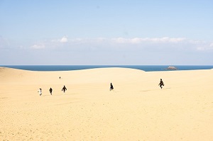 鳥取砂丘写真