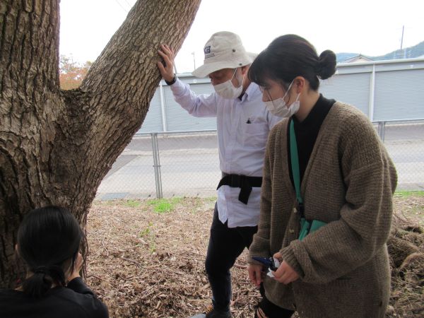 木の大きさを測定しているところです。