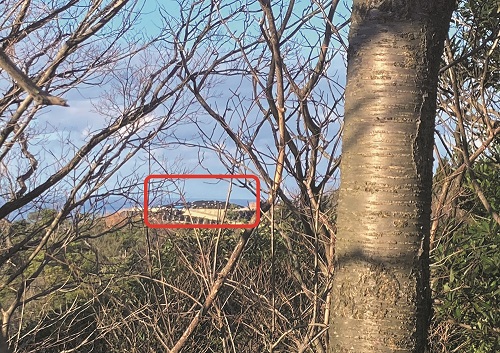 写真１　洞ノ原地区から見える仙谷１号墓(赤枠)