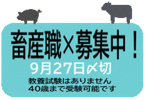 畜産職追加募集中