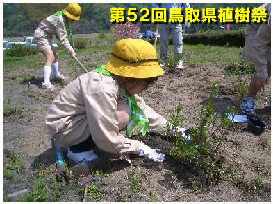 植樹祭写真