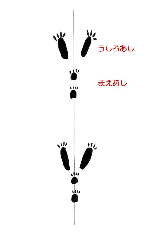 うさぎの足跡の図