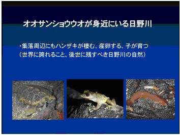 日野川流域の生物