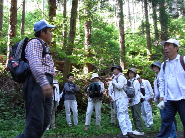 日野川源流で自然解説