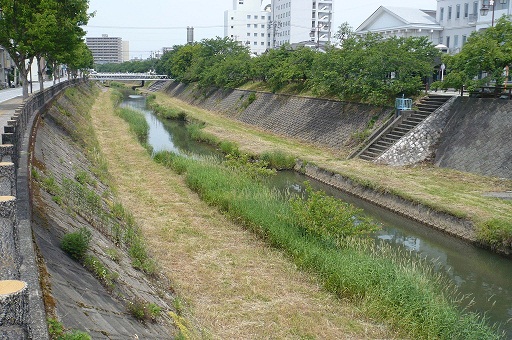 除草後の写真