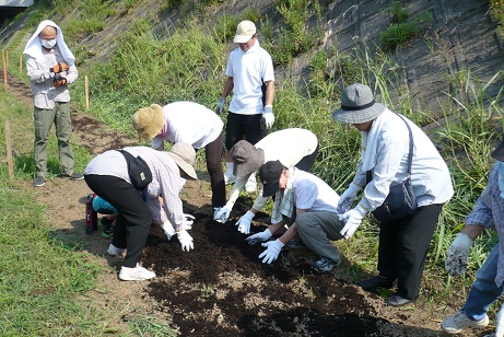 堆肥を広げる様子