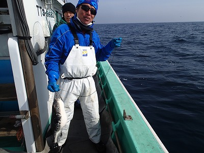 浜村の傭船調査で漁獲したトラフグ（2.3kg）