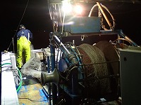 小型底びき網の漁期前試験操業の様子