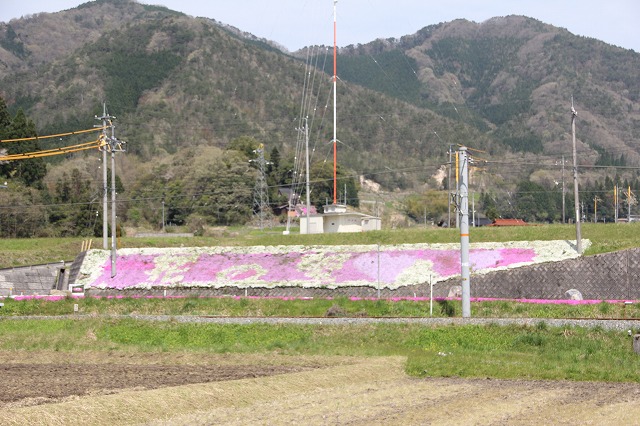 花の文字